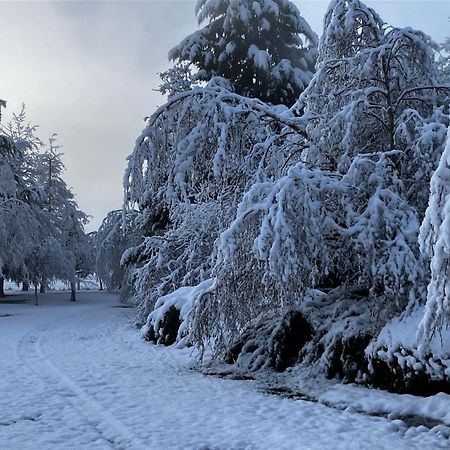 Woodbank Road Escape Hanmer Springs Exterior foto