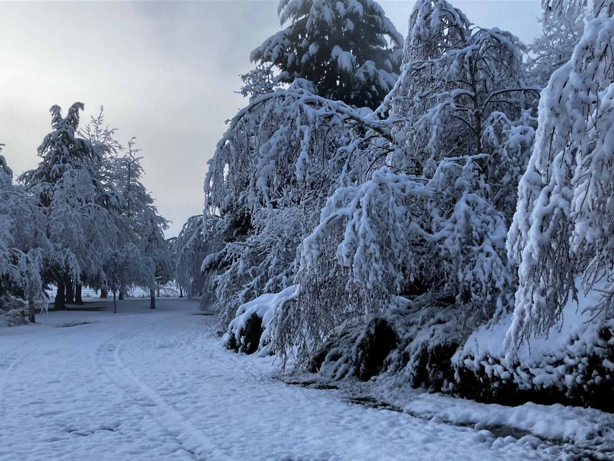 Woodbank Road Escape Hanmer Springs Exterior foto